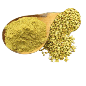 Dhaniya powder (100g)